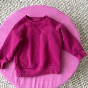 Primary 2T sweater